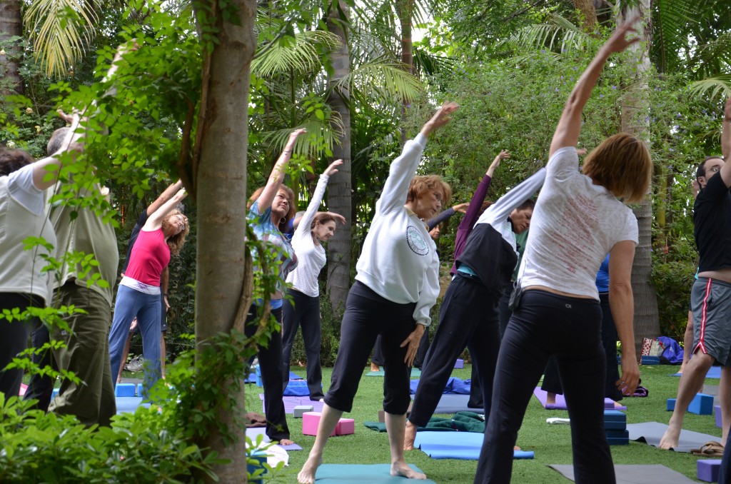 Yoga at the Garden