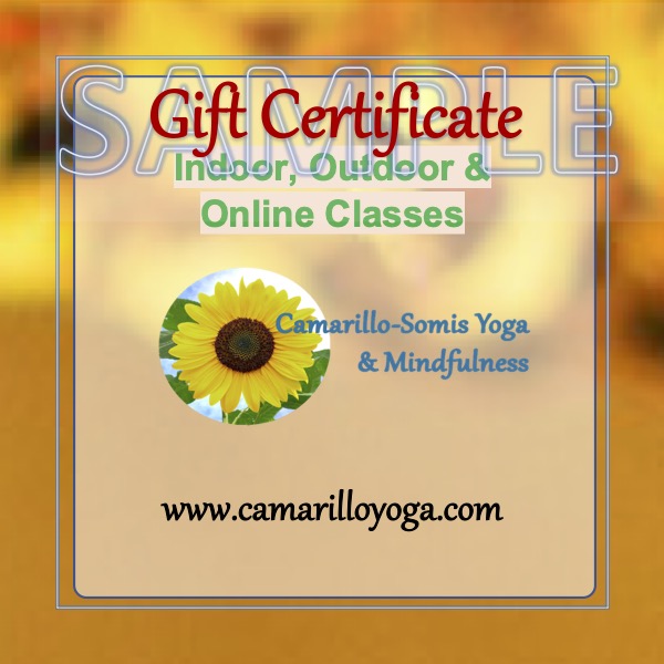 CSYM Gift Certificate Logo