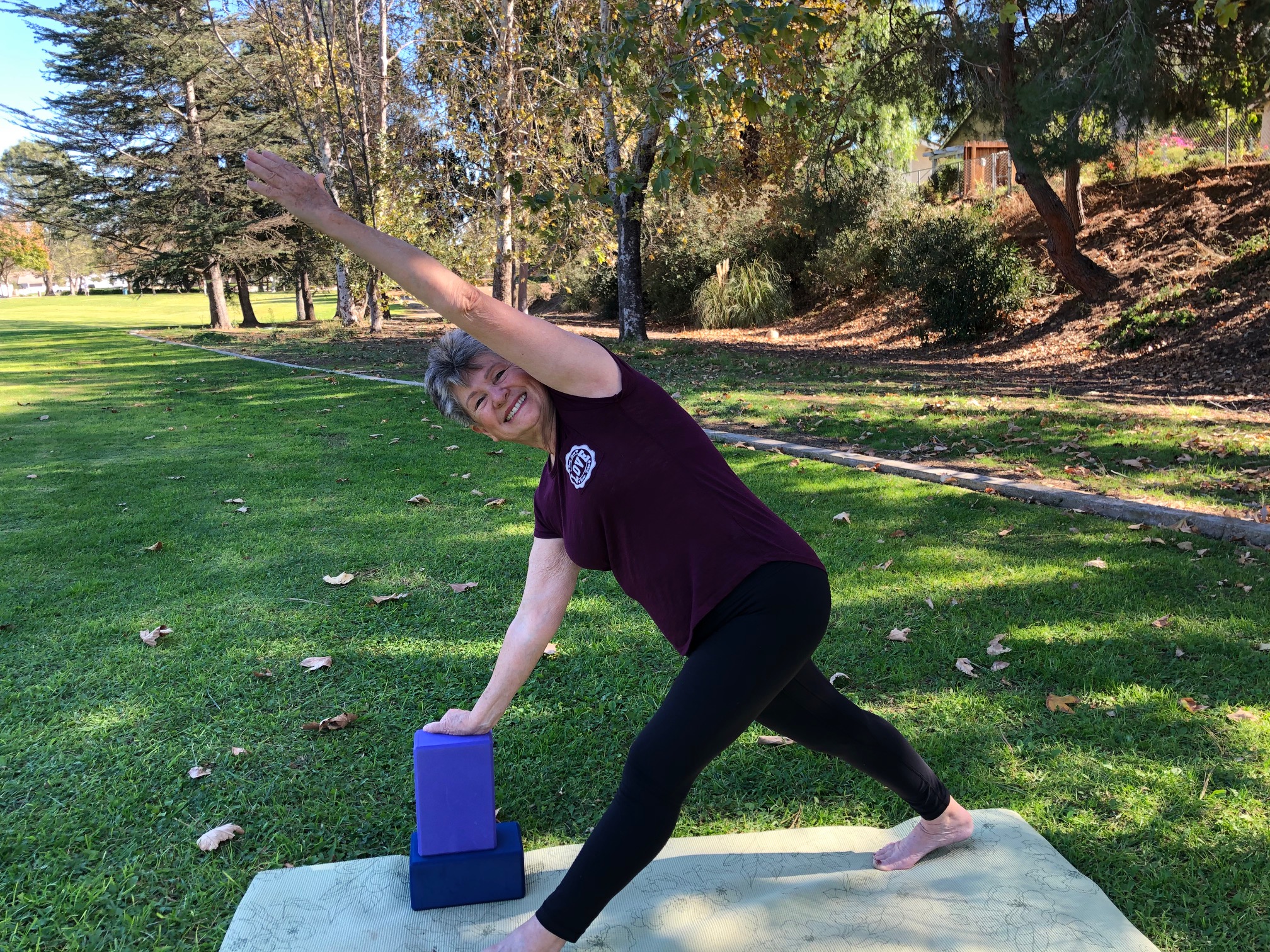 Seated twist in Zoom class